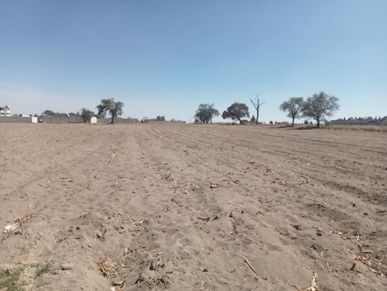 COMPRAR UN TERRENO SIN ESCRITURAS ¡Una Decisión Peligrosa!